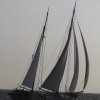 IMG_9550